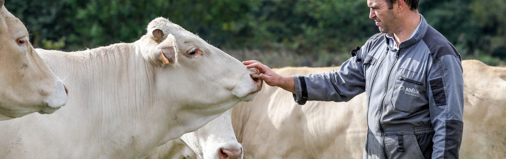 agriculture plurielle et durable