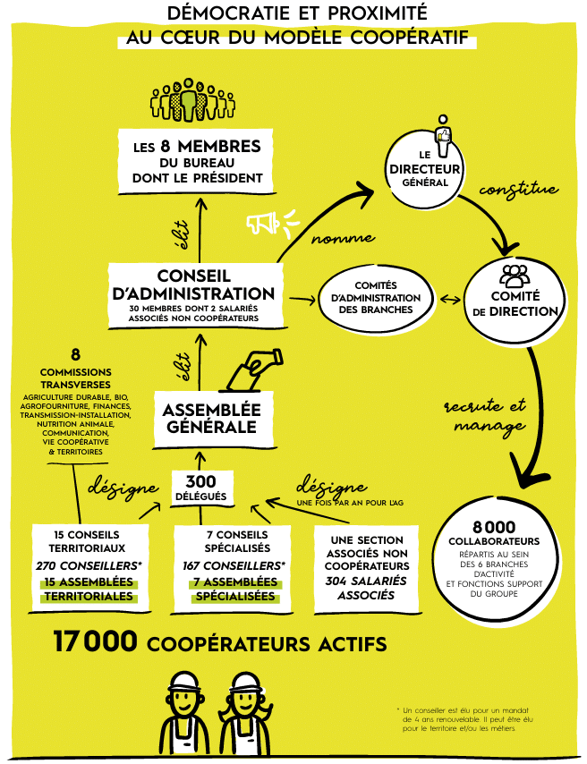 Modele Cooperatif